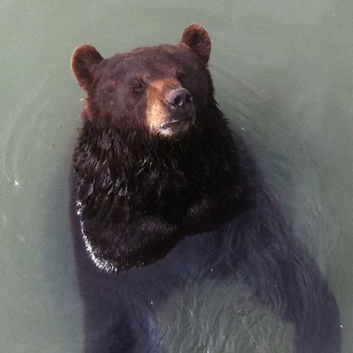 praeceptorprime's profile picture. Teacher and student.