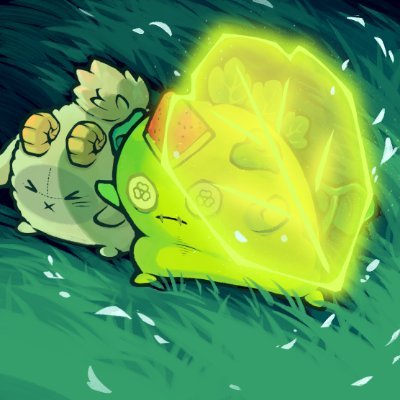 Axie Infinity Support Profile
