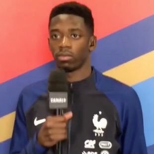 tnecnivliryc's profile picture. 🐺