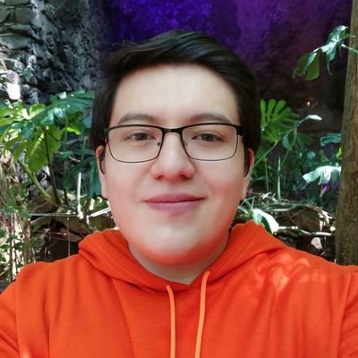 TI Engineering/ Web developer / Programmer