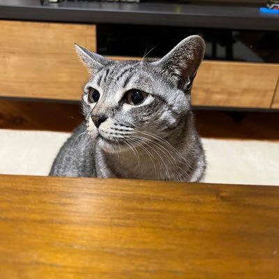 cross fmよく聴いてます。 東京カランコロン、忘れらんねえよ など好きです。 猫に癒され、酒も甘い物も好きなおっさんです。