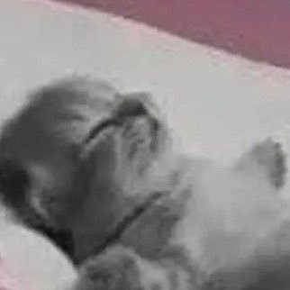 Fingerface2's profile picture. Astrid 18