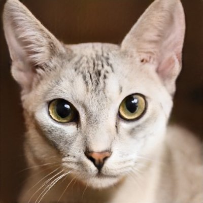 StephanieJammu1's profile picture. 