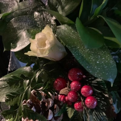 jojomadre1's profile picture. 