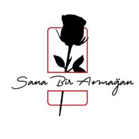 Sana Bir Armağan(@sana1armagan) 's Twitter Profileg