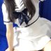 碧葉 (@fv4om3) Twitter profile photo 碧葉 (@fv4om3) Twitter profile photo