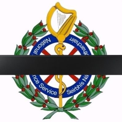 ParamedicsTV's profile picture. Official twitter of the documentary series PARAMEDICS. Following the men and women of the National Ambulance Service on @SkyWitness