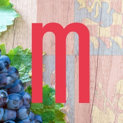 Representation of South Moravia to the EU Profile