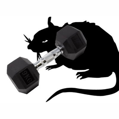 gymratwilin's profile picture. 