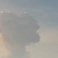 ぽ (@l5olq) 's Twitter Profile