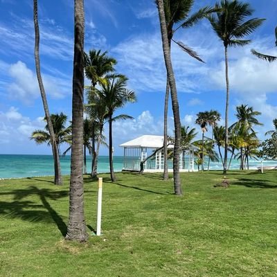 Jessica051021's profile picture. 