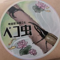 Peko (@peko83344128) 's Twitter Profile Photo