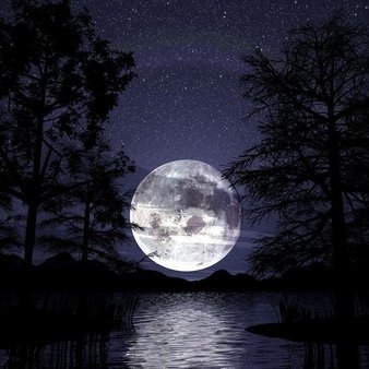meacherljoe34's profile picture. the silence of night.