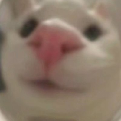 权凧毛线さんのプロフィール画像