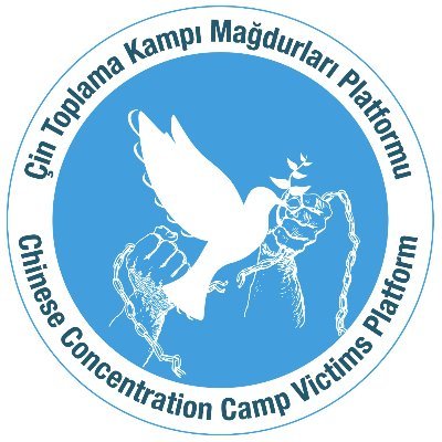 KampMagdurlari Profile Picture