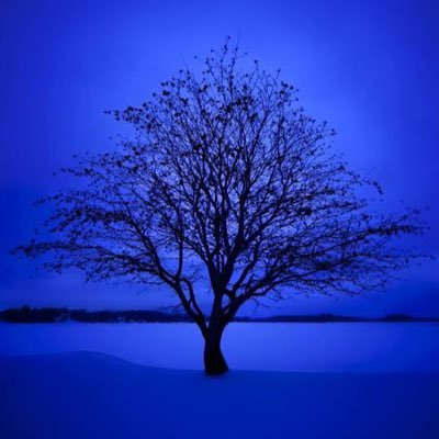 yokohamabluet's profile picture. 無言フォロー失礼します。有益な情報を見つけたらリポストさせていただきます。