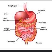 Gastro Nurses IBD and Liver (@gastrolthtr) 's Twitter Profile