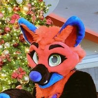 sparksthehusky.bsky.social (@sparksthehusky) 's Twitter Profile