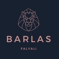 Barlas Falyalı (@barlasfalyali) 's Twitter Profile Photo