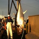 Adam Sherer - @Dupree579 - Twitter