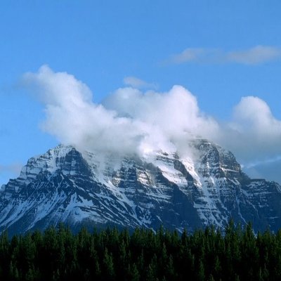 crisdianou's profile picture. go to MARS soon.