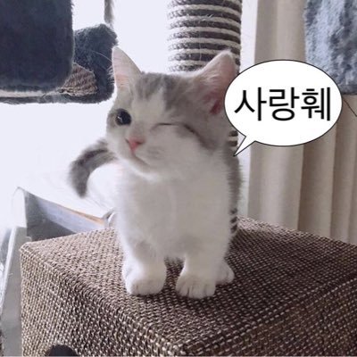 leesunnyiungg's profile picture. 