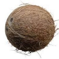 Coconut Kokonut(@coconut_kokonut) 's Twitter Profileg