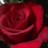 princes1076's profile image