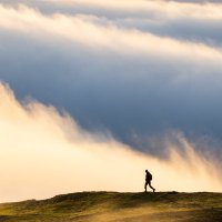 ShropshireAndBeyond (@shropsandbeyond) 's Twitter Profile