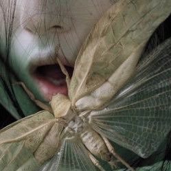 4419lee's profile picture. 