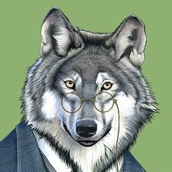 Mr_Wolf_Solves's profile picture. 