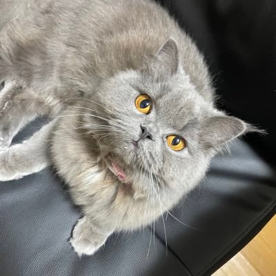 PClYg79DjfM4v1E's profile picture. 