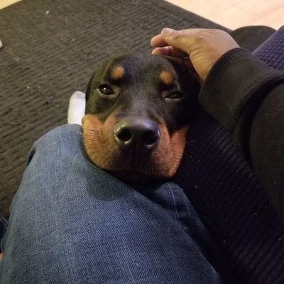 FastSc4's profile picture. Avid investor who travels between Toronto, New York, Miami, and Santo Domingo.

Always looking for a companion or FWB