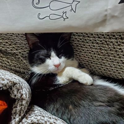 WmcsHR53PjRUGAv's profile picture. 仲良くしてください(o^∀^o)