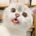 LiaXen (@lia_xen) Twitter profile photo LiaXen (@lia_xen) Twitter profile photo