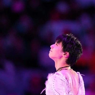 Like to draw , 
and always support Yuzu 😊