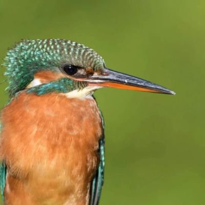 BarnyGas's profile picture. 