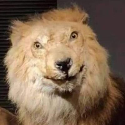 Gooba454's profile picture. age 37