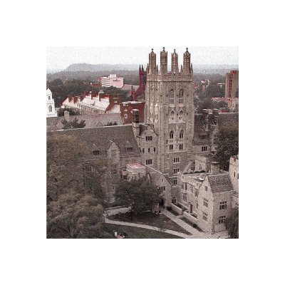 Y4L3UNIVERSITY's profile picture. ⊱ ⸻⊹ BIENVENIDOS A LA UNIVERSIDAD DE YALE. 【ROL CERRADO】⇢ NORMAS EN LA PÁGINA WEB. ««« #YURP