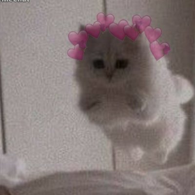 chillimilli_hun's profile picture. 21 👩‍⚕️
Kuch nahi yaawwwrrr