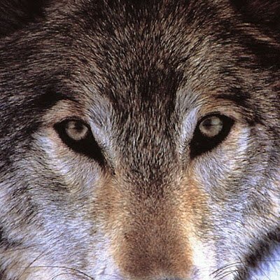 shaw160103's profile picture. 