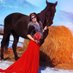 Teresa Moore (@teresa_mooreee) Twitter profile photo Teresa Moore (@teresa_mooreee) Twitter profile photo