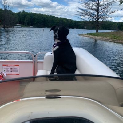 kmath597's profile picture. 