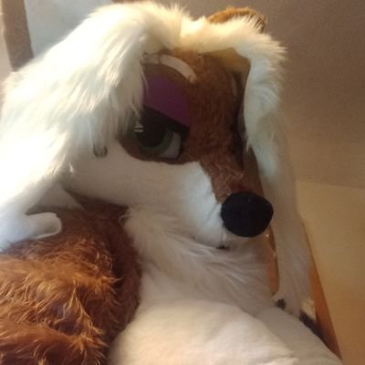 my name is Luna and I'm sweet and fun . I'm pansexaul and I'm 22 on HRT ...
pronouns She/her or they/them single as always might date if you live close to me