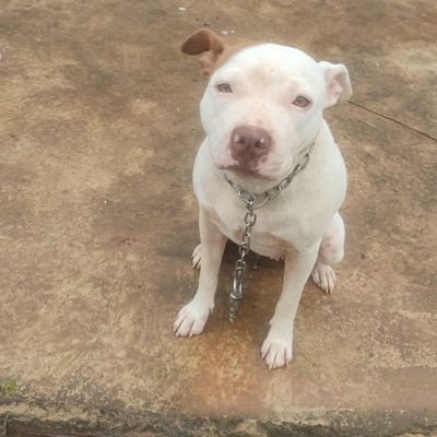 couy_c's profile picture. Sempre Deus em primeiro lugar 🙏 depois meus filhos e família