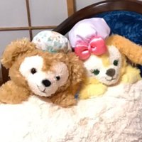 峰子(🌹❛ ֊ ❛„) (@minekochan_zura) 's Twitter Profile Photo 峰子(🌹❛ ֊ ❛„) (@minekochan_zura) 's Twitter Profile Photo