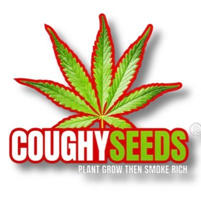 coughyseeds