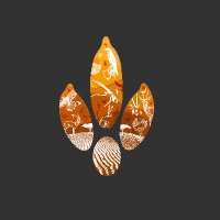 محمية الشمال للصيد المستدام (@srfsh_sa) 's Twitter Profile Photo محمية الشمال للصيد المستدام (@srfsh_sa) 's Twitter Profile Photo