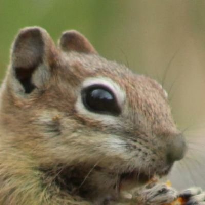 Aaron_382's profile picture. 