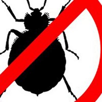 Bedbug-Exterminating (@bedbugexperts) 's Twitter Profile Photo